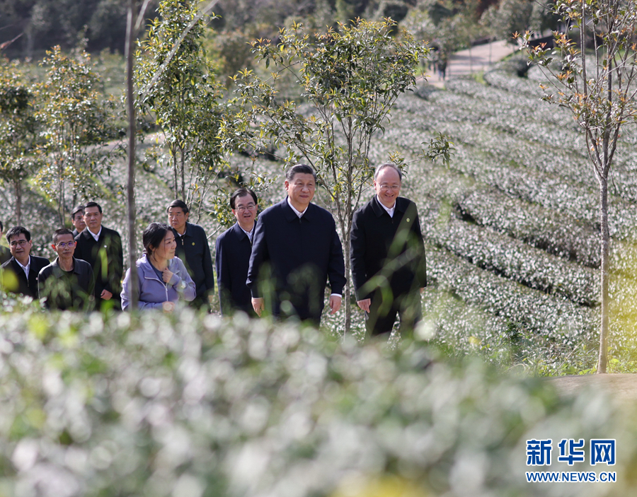 http://www.xinhuanet.com/politics/leaders/2021-03/25/1127254519_16166772256021n.jpg