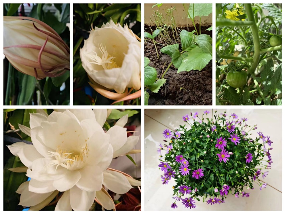 6dc88207244b4ba8bc03047d8e2acffe.jpg 6dc88207244b4ba8bc03047d8e2acffe.jpg