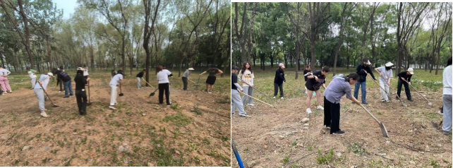 803c24d424414bbd9a876ce76730a503.png image.png