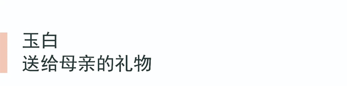 2477556bf57542109b4efa1f84e44406.jpg 6.1.jpg