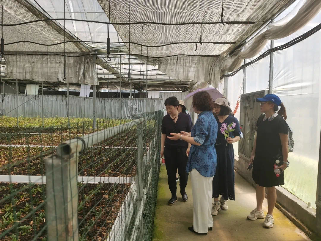 433f05982528475dadf8b075613ccff9.jpg 433f05982528475dadf8b075613ccff9.jpg