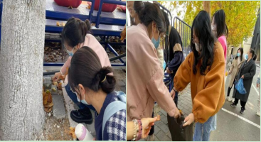 5d9bc1aca6e14eea96577fb72c4133a9.png 1.png