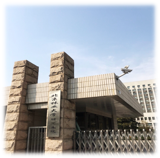 dcd19647731f45008a4c0e0ba6fc780a.png 图片5.png